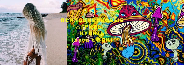 кокаин премиум Заводоуковск
