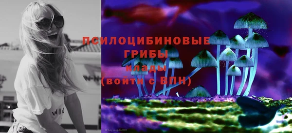кокаин премиум Заводоуковск